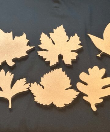 Leaf Shapes - Image 1