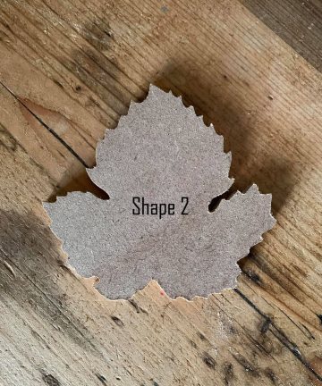 Leaf Shapes - Image 3