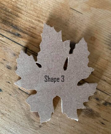 Leaf Shapes - Image 4