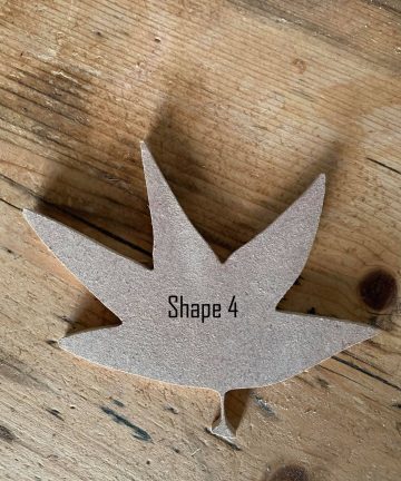 Leaf Shapes - Image 5
