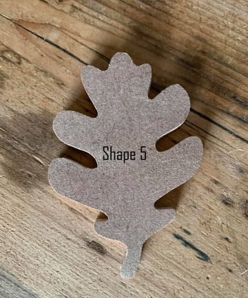 Leaf Shapes - Image 6