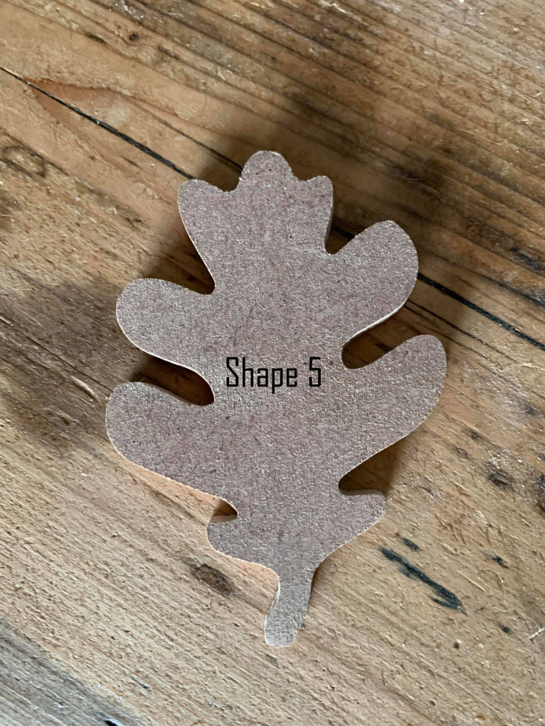 Leaf Shapes