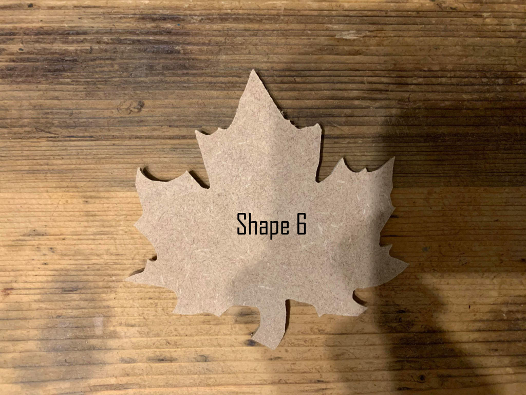 Leaf Shapes