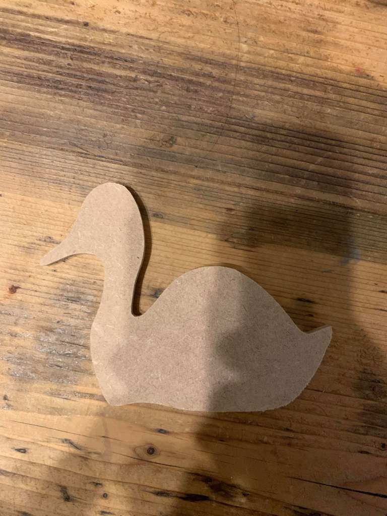 Duck