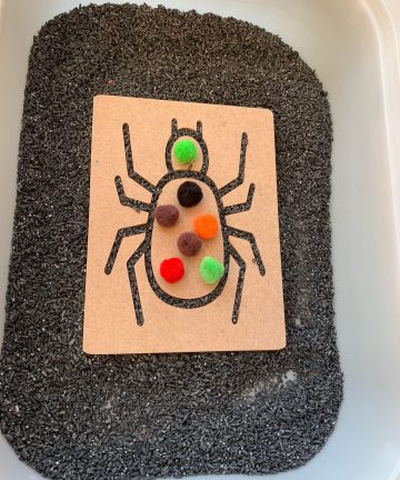 Fine Motor Skills Insect Boards - Image 5
