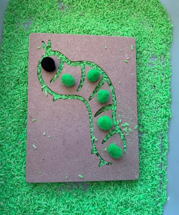 Fine Motor Skills Insect Boards - Image 6
