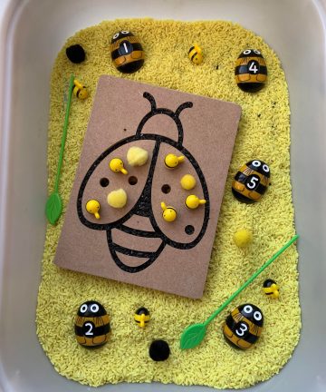 Fine Motor Skills Insect Boards - Image 7