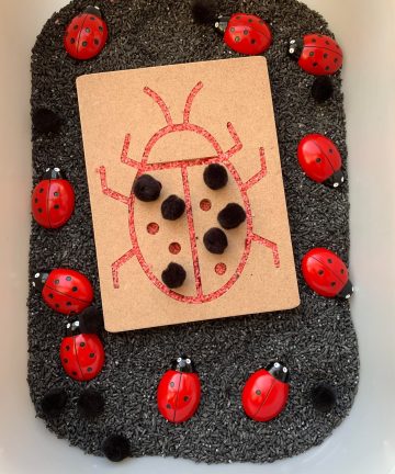 Fine Motor Skills Insect Boards - Image 8