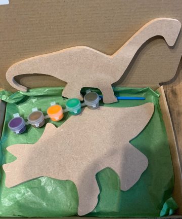 Dinosaurs Box - Image 3