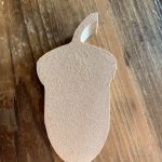 Acorn