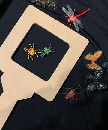 Nature Viewer - Image 2