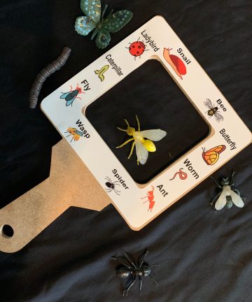 Nature Viewer - Image 3