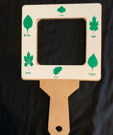 Nature Viewer - Image 4