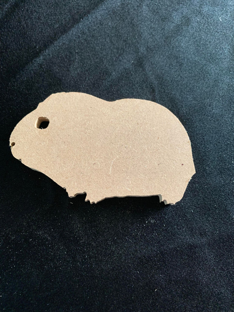 Guinea Pig