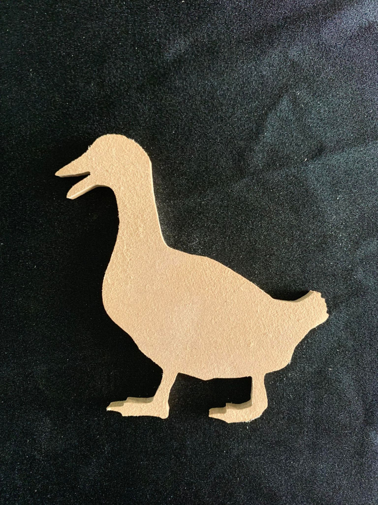 Duck
