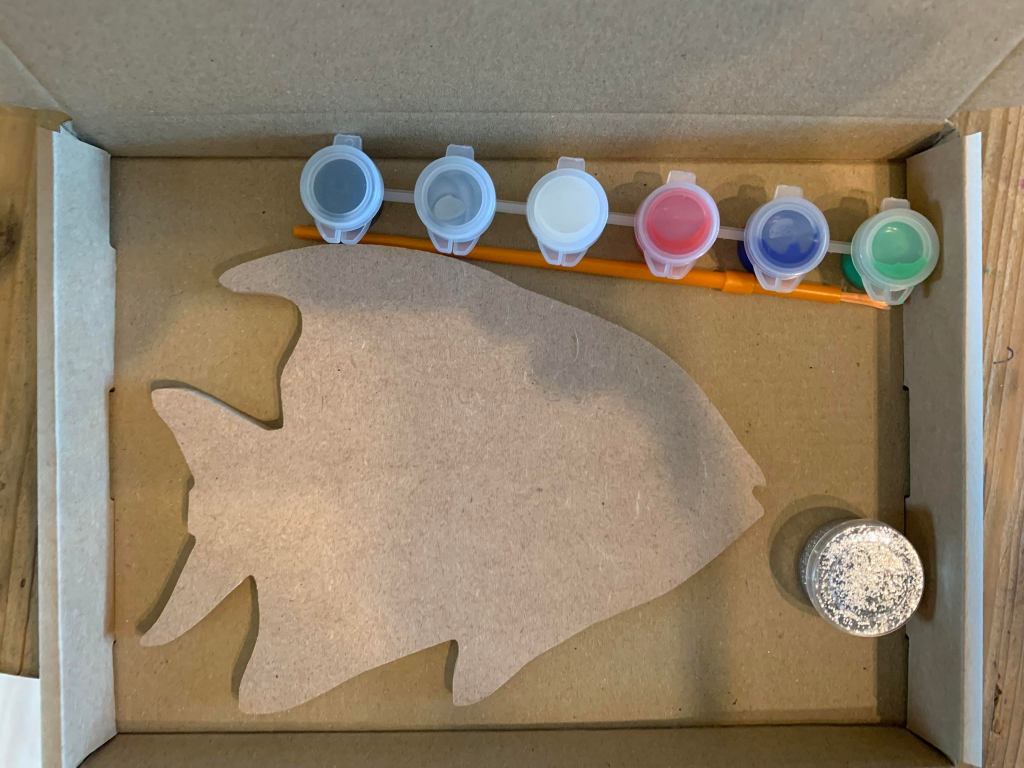 Coloured Fish Box Set