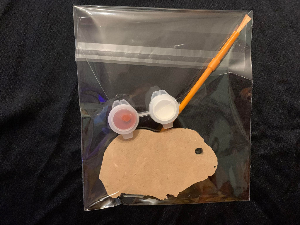 Guinea Pig Craft Pack