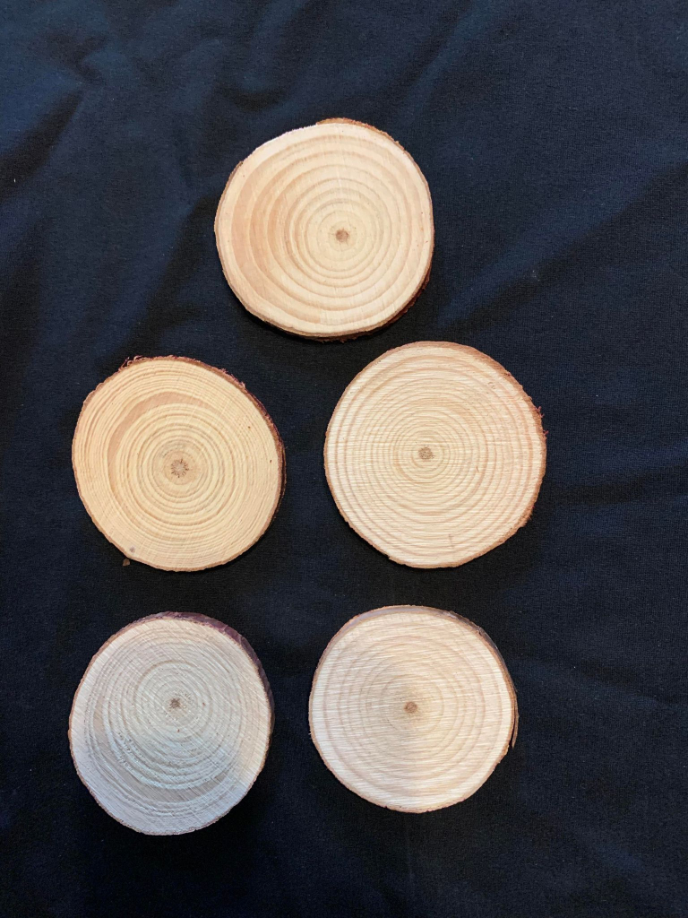 Wooden Slices