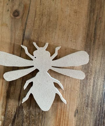 Pack Of 6 Assorted Insect Shapes - Image 1