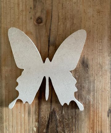 Pack Of 6 Assorted Insect Shapes - Image 2