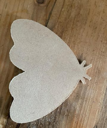 Pack Of 6 Assorted Insect Shapes - Image 3