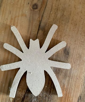 Pack Of 6 Assorted Insect Shapes - Image 4