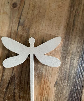 Pack Of 6 Assorted Insect Shapes - Image 6