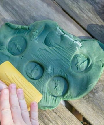 Let’s Roll Garden Bugs from Yellow Door, ideal for sand and playdoh play, great for insect and nature activities - Image 6