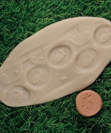 Let’s Roll Forest Friends from Yellow Door, idea for play doh, sand, Autumn and woodland animal activities - Image 2