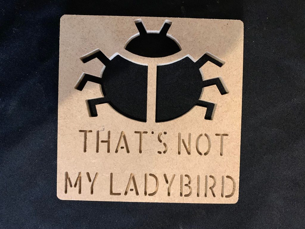 That’s Not My Ladybird