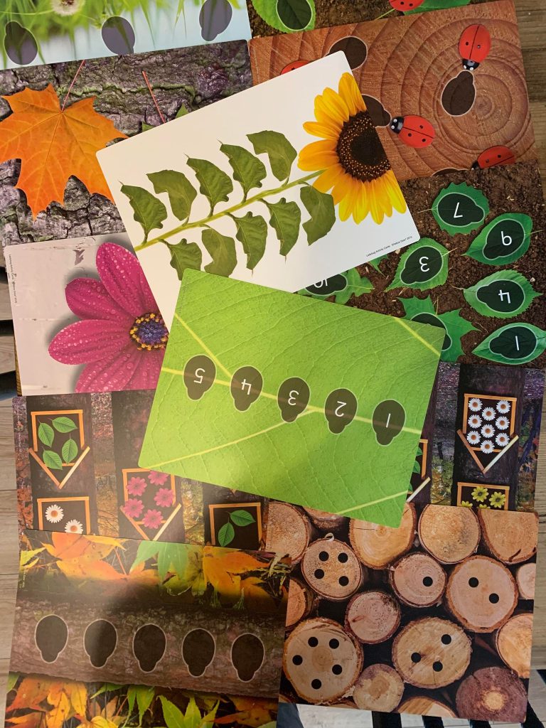 Yellow Door Ladybird Activity Cards