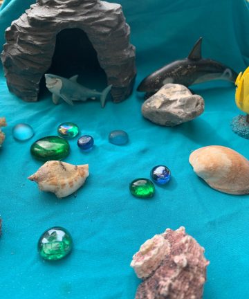 Yellow Door Cave Play Habitat - Image 2