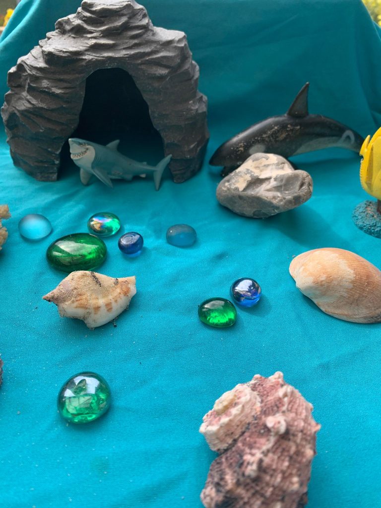 Yellow Door Cave Play Habitat