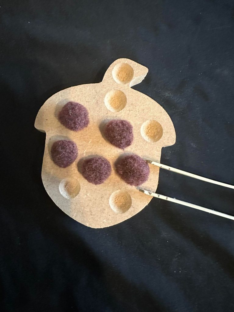 Fine Motor Skills Leaf And Acorn