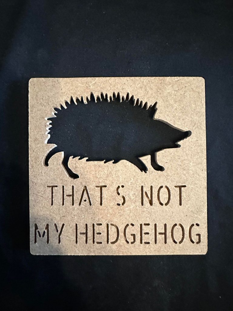That’s Not My Hedgehog