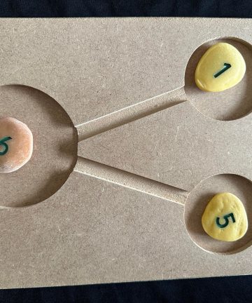 Whole And Parts Tray - Image 2
