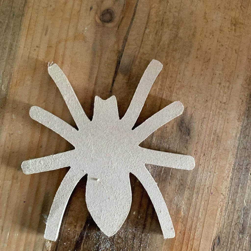 Spider Shape