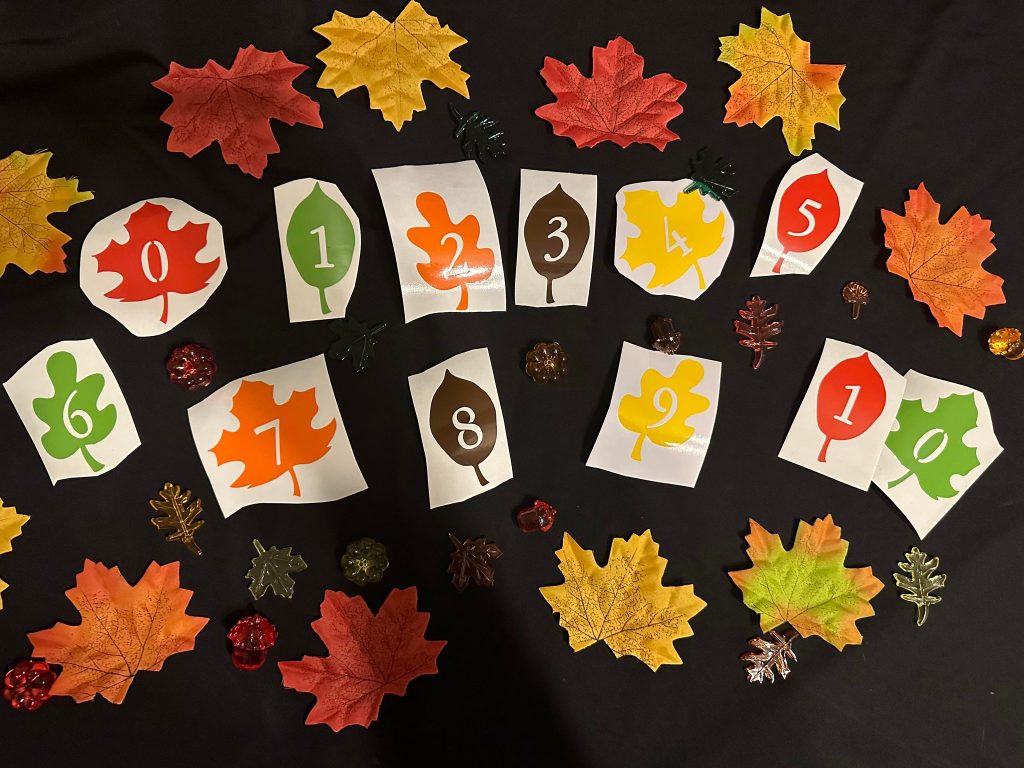 Autumn Vinyl number leaves
