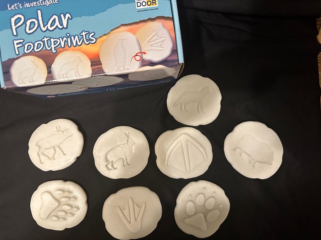 Let’s Investigate Polar Footprints