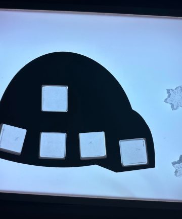 Winter Igloo - Image 4