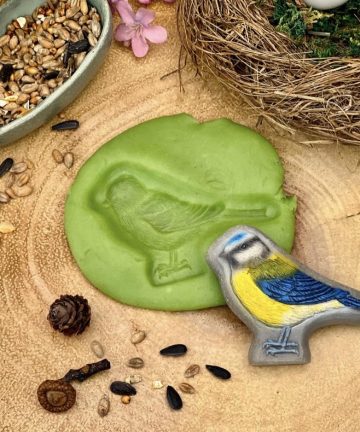 Birds – Yellow Door Sensory Play Stones Ideal for play doh, messy or small world play - Image 2