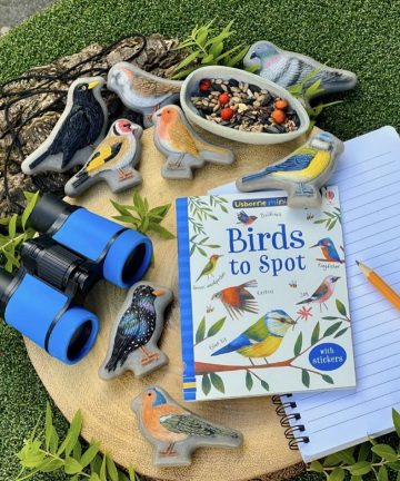 Birds – Yellow Door Sensory Play Stones Ideal for play doh, messy or small world play - Image 3