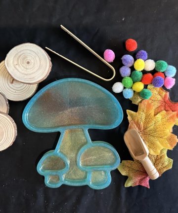 Mushroom Sensory set, great for rice, chick peas, sand or small world play - Image 1
