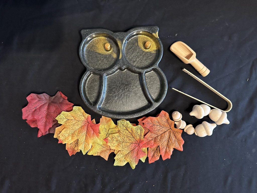 Owl Sensory set great for rice, chick peas, sand play or small world sets