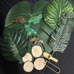 Dinosaur sensory set great for rice, chick pea or small world play