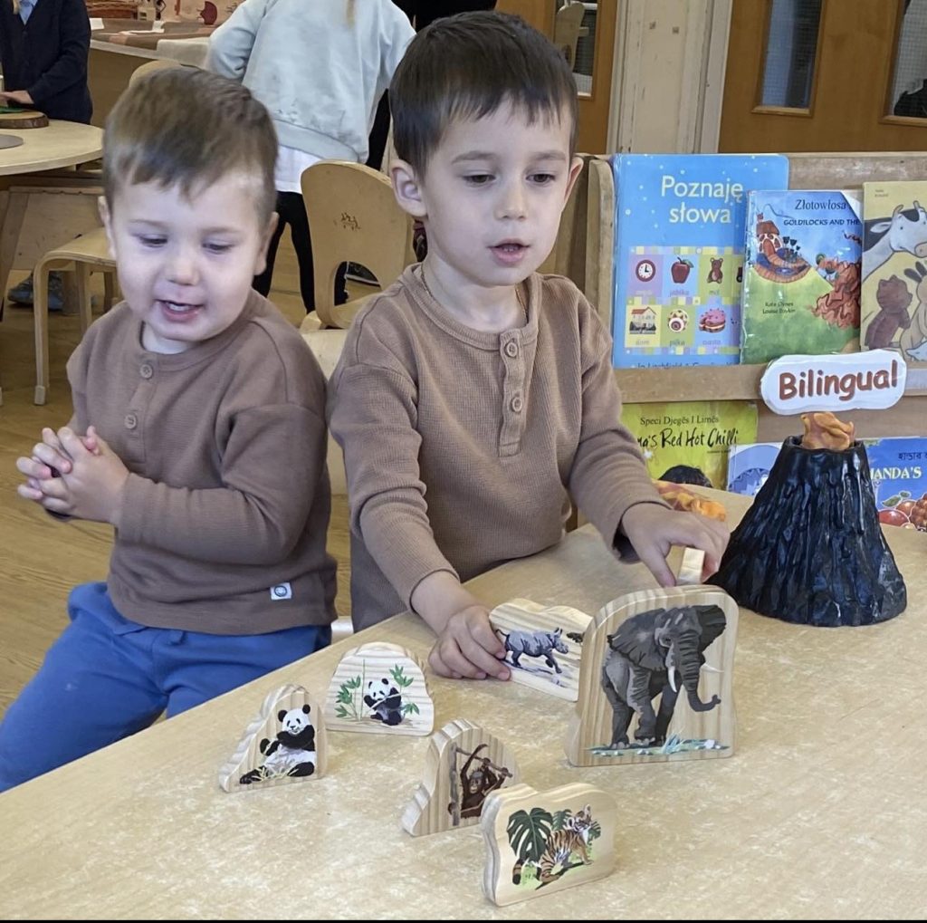 Endangered Animal Families Wooden Characters ideal for small world play