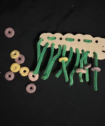 Threading Caterpillar - Image 3
