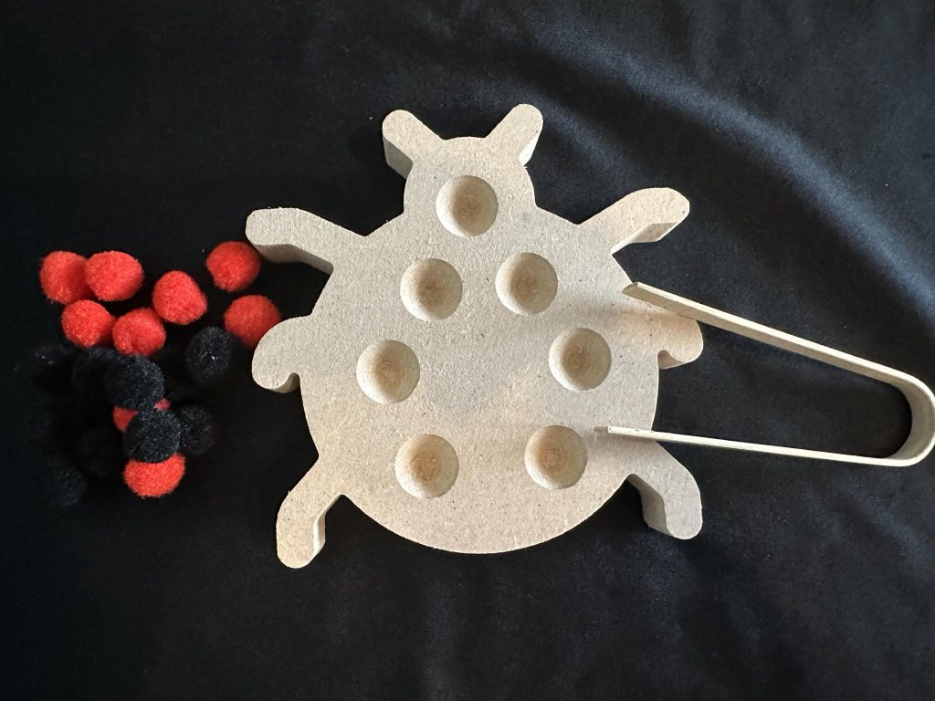 Fine motor skills ladybird great activity to get those fingers working