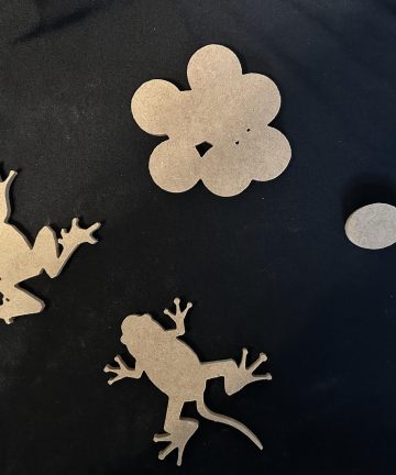 Frog life cycle set - Image 1