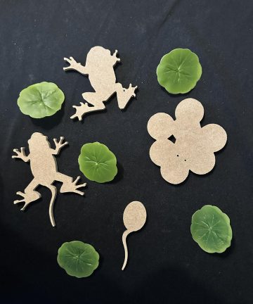 Frog life cycle set - Image 2